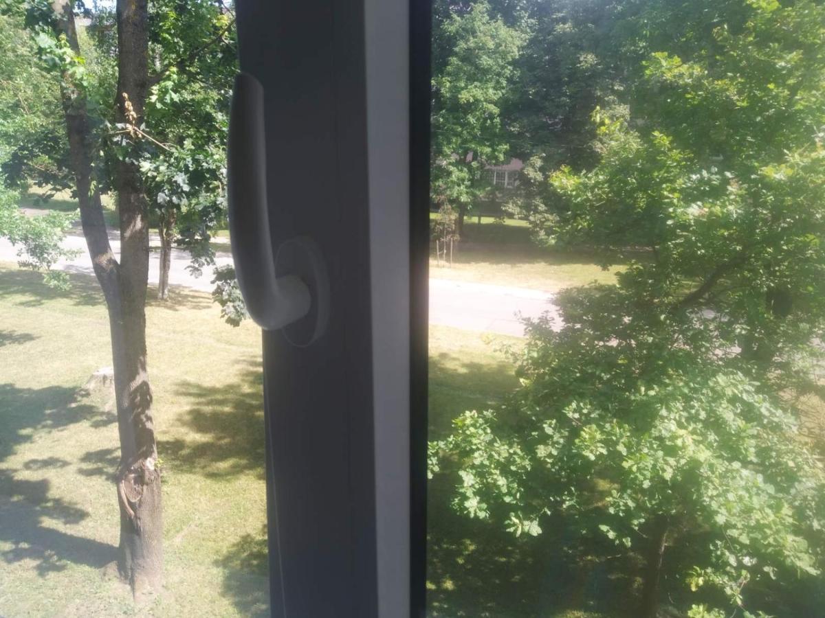 Gallery Narwa Zewnętrze zdjęcie